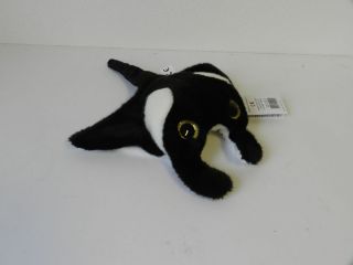 Obrázek z Rejnok plyš 20cm, velké oči(6) 